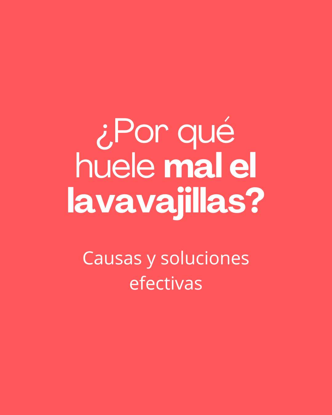 ¿Por qué huele mal el lavavajillas?